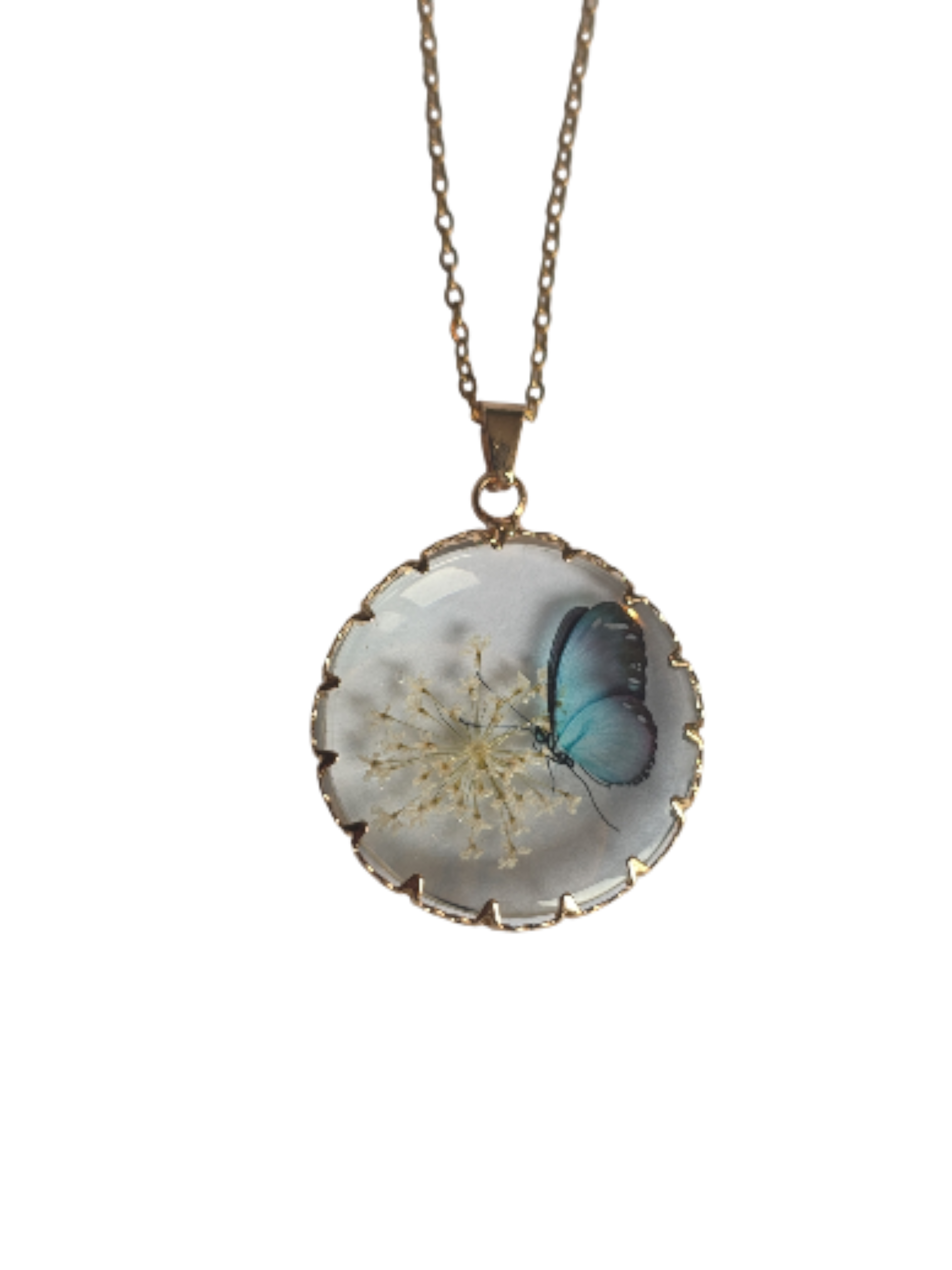 Collier papillon blanc