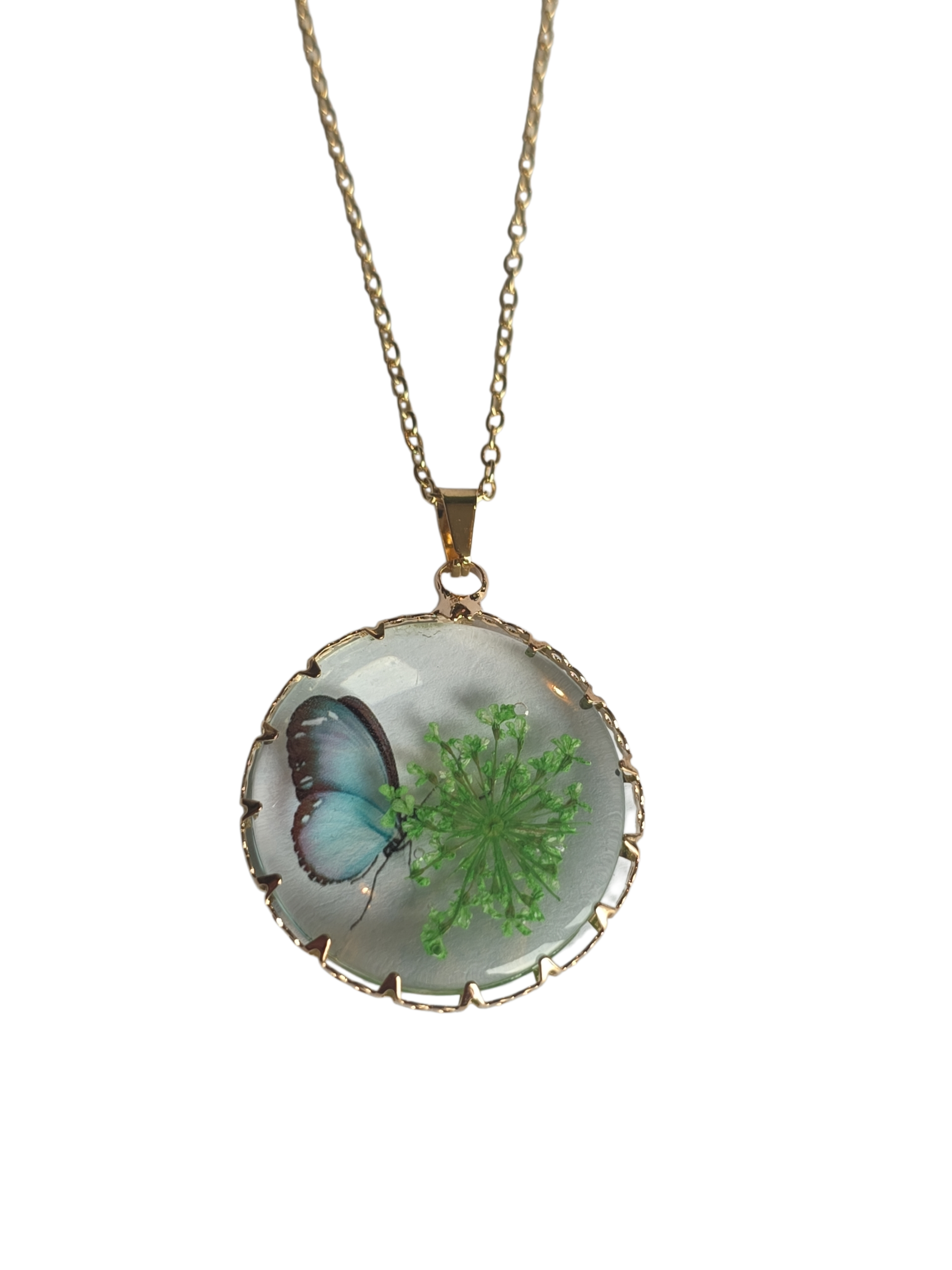 Collier papillon vert